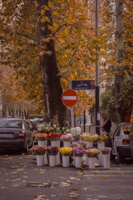 A street scene during autumn with a collection of fresh flower bouquets arranged in white buckets on the sidewalk near a tree with golden leaves. The flowers include a variety of colours such as red, 
